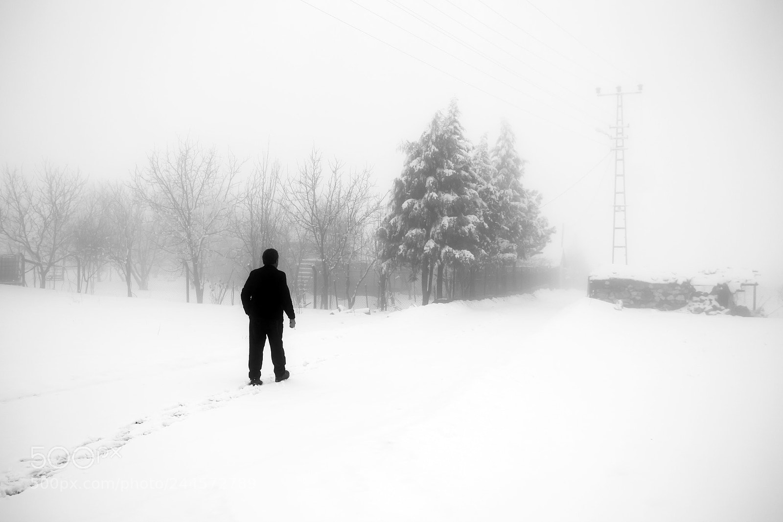 Canon EOS 650D (EOS Rebel T4i / EOS Kiss X6i) sample photo. Walk on snow photography
