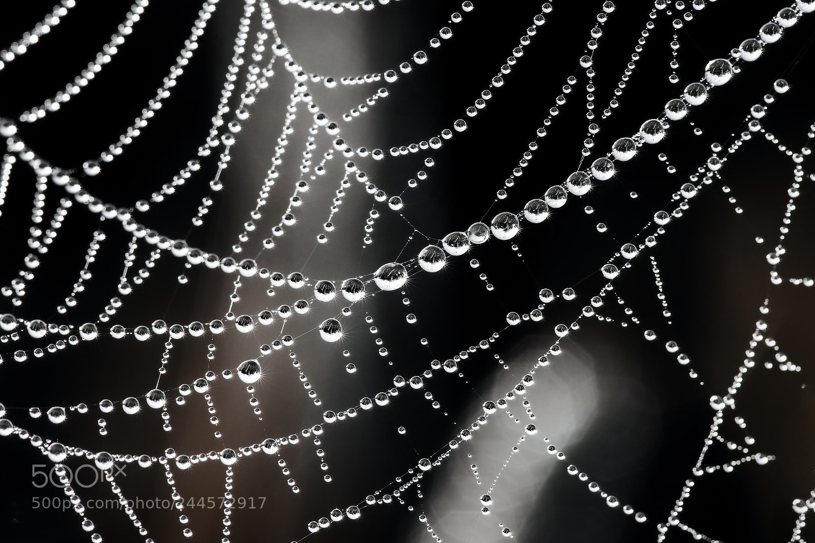 Sony Alpha DSLR-A850 sample photo. World creation. photography