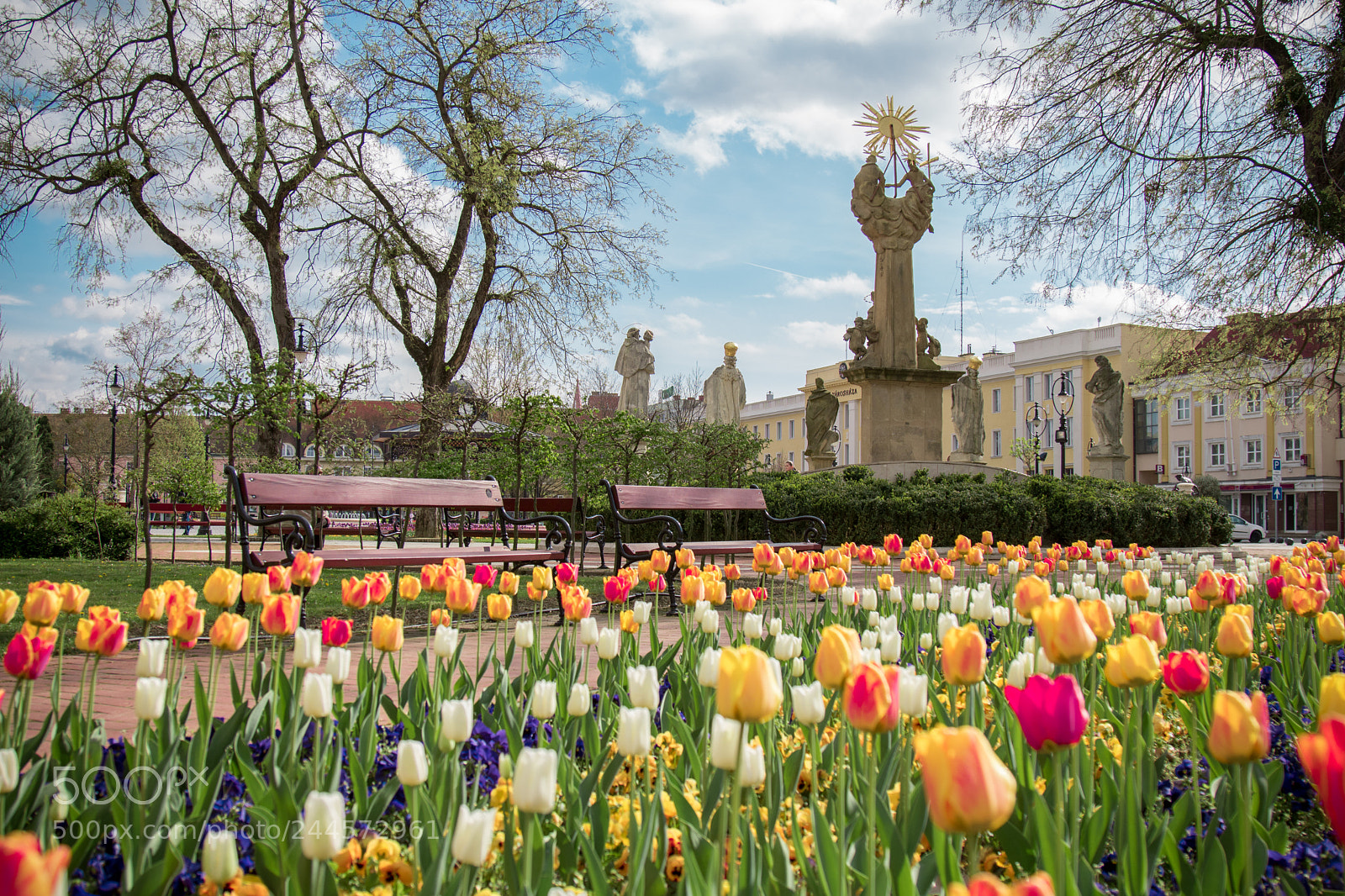 Canon EOS 760D (EOS Rebel T6s / EOS 8000D) sample photo. Tulips in town photography