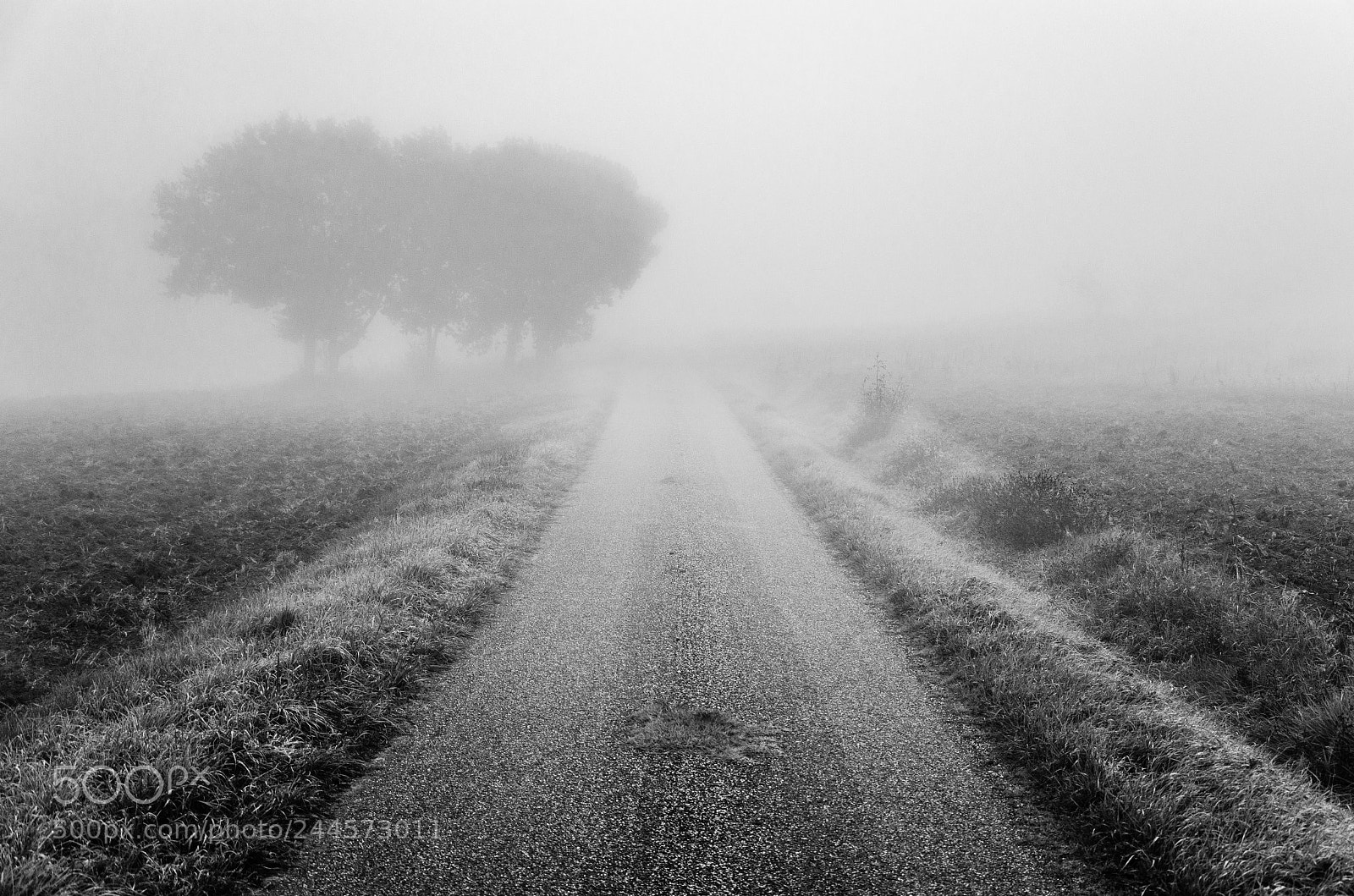 Nikon D5100 sample photo. Le chemin se construit photography