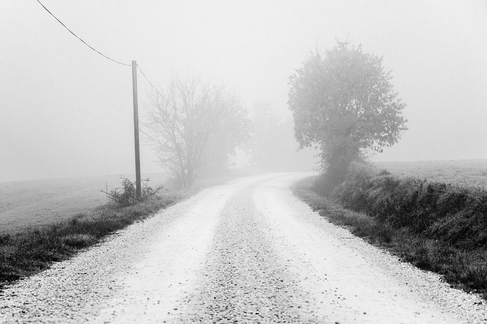 Nikon D5100 sample photo. Le chemin se construit photography