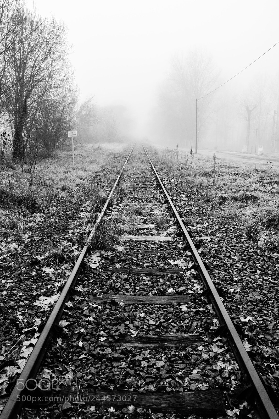 Nikon D5100 sample photo. Le chemin se construit photography