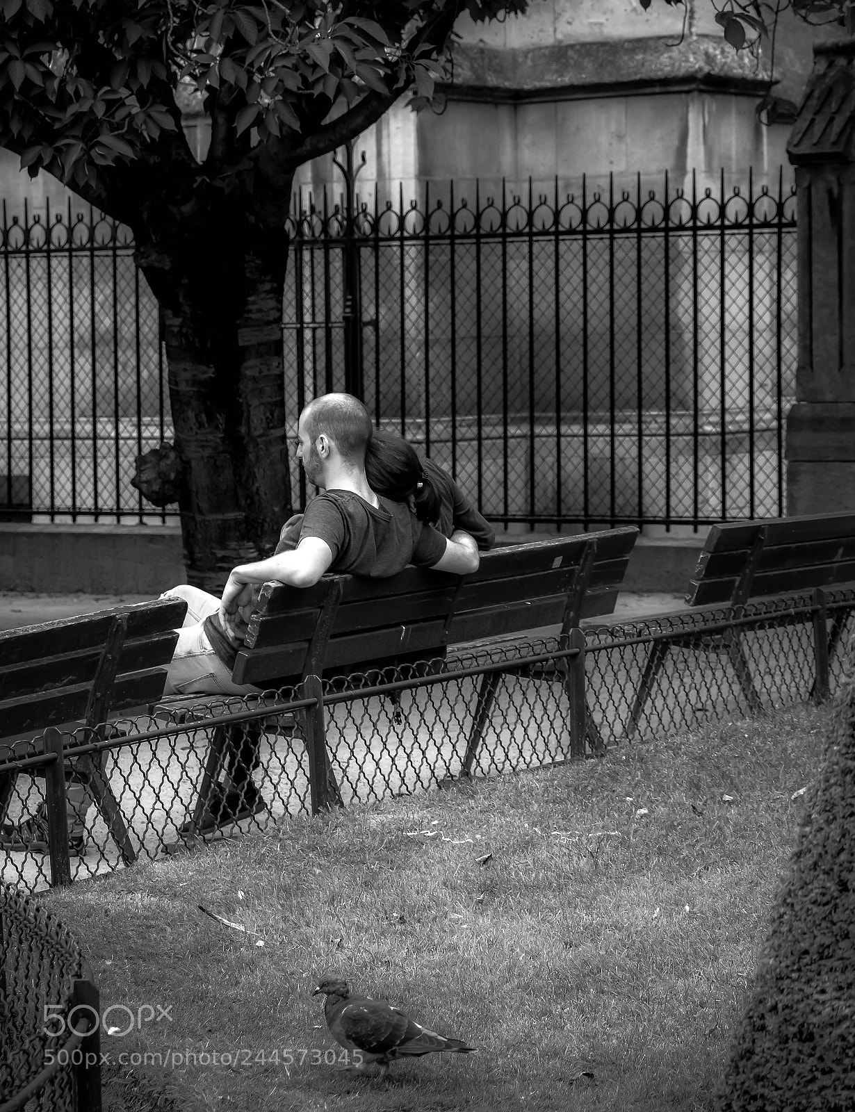 Nikon D7100 sample photo. Les amoureux qui s'b photography