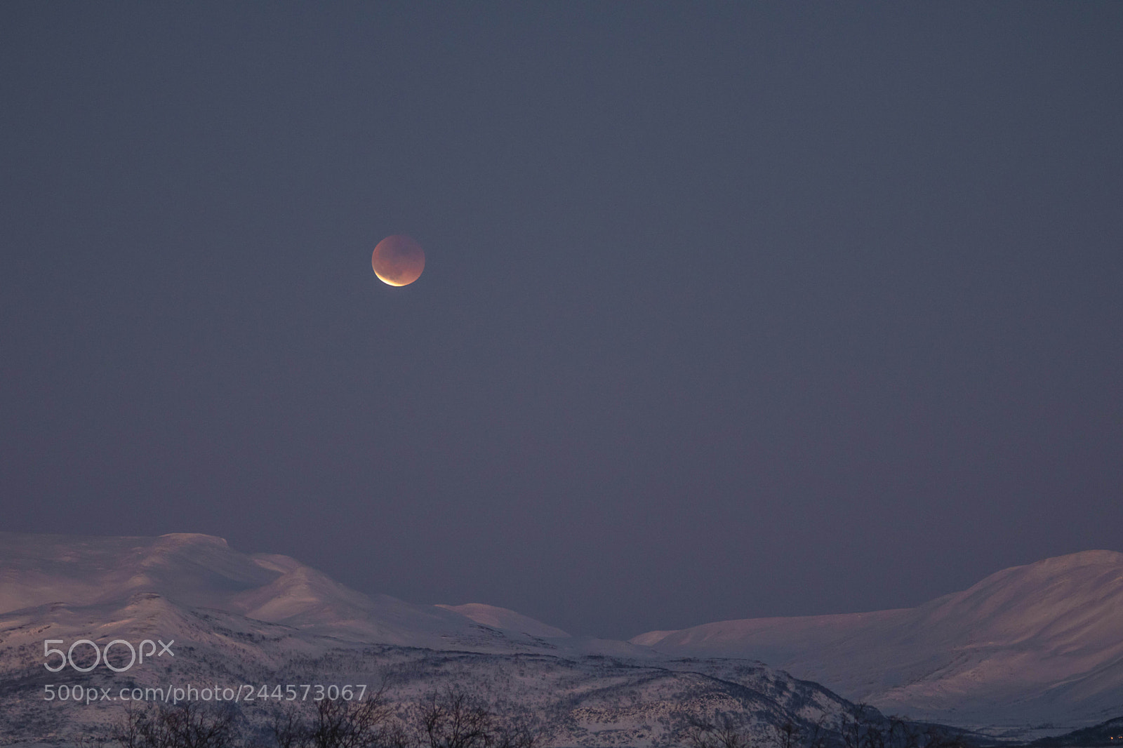 Canon EOS 760D (EOS Rebel T6s / EOS 8000D) sample photo. Blue blood supermoon eclipse photography