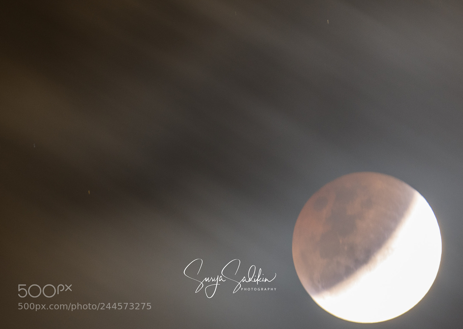 Nikon D850 sample photo. Super blue blood moon photography