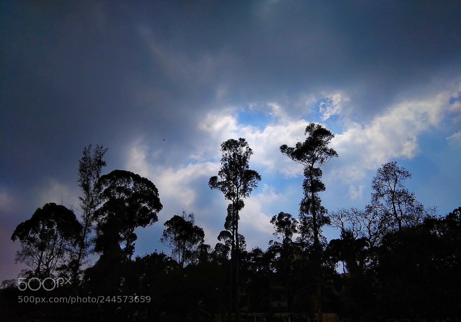 Xiaomi Redmi Note 4 sample photo. Cloudy afternoon .. photography