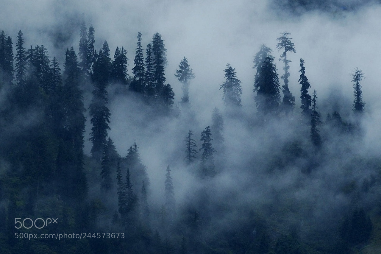 Nikon D700 sample photo. Foggy 44 photography