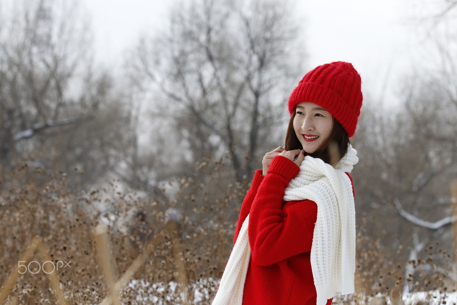 Canon EF 70-200mm F2.8L IS II USM sample photo. Poetry in winter photography