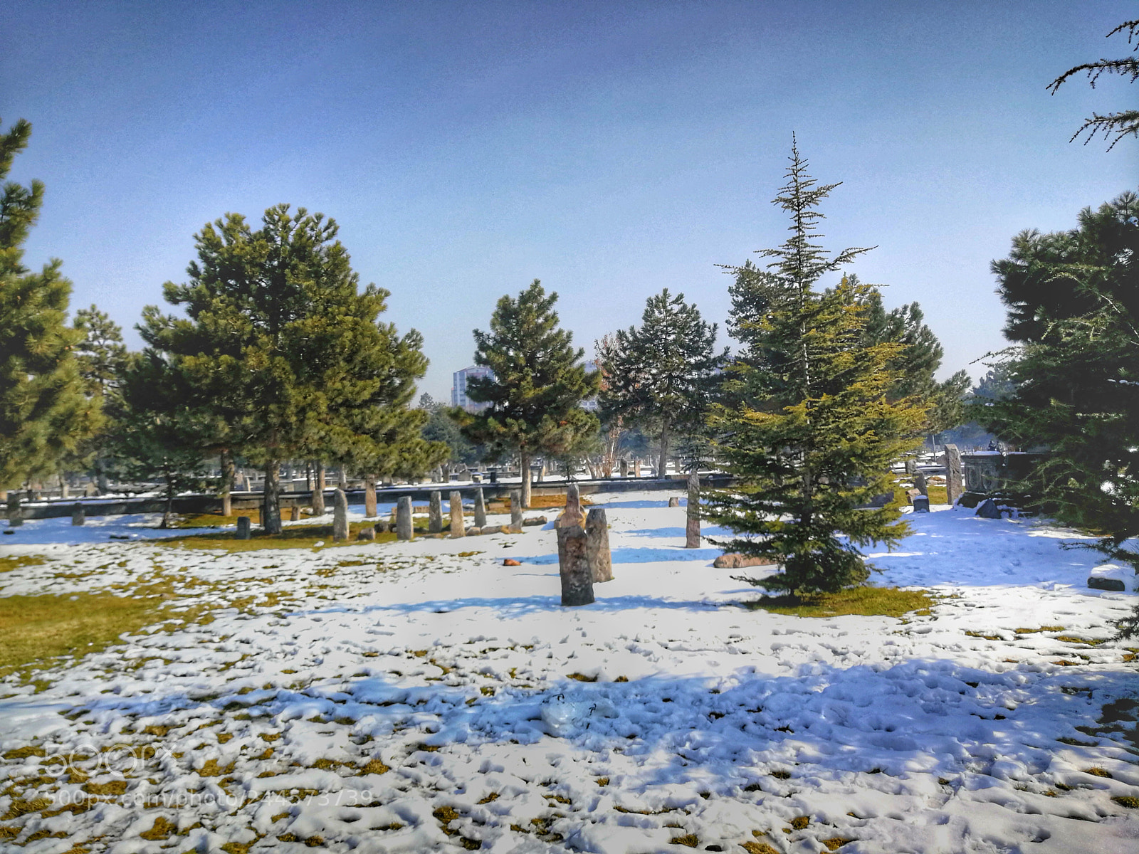 HUAWEI P10 Plus sample photo. Untitled photography