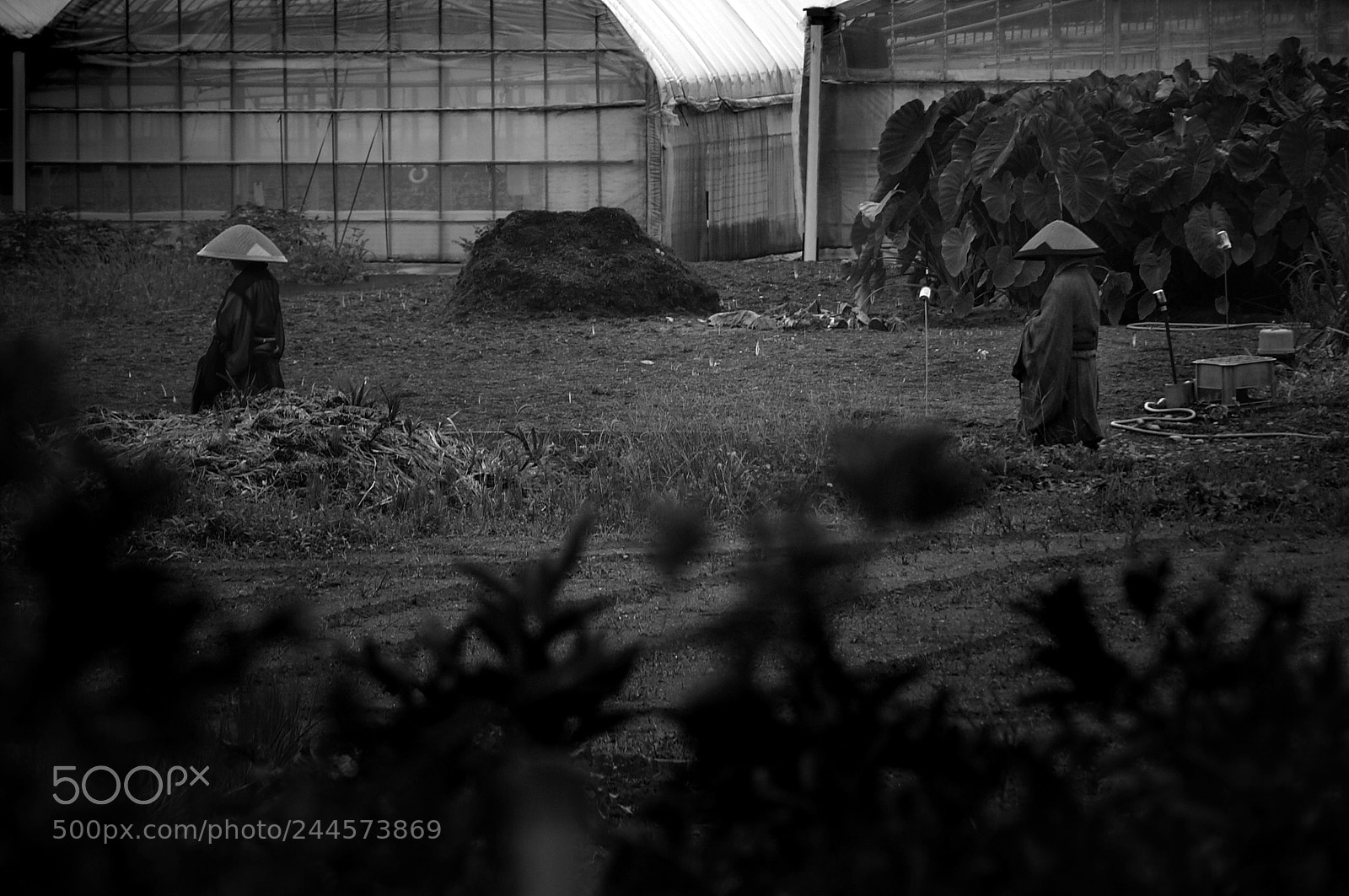 Sony Alpha NEX-6 sample photo. Mendicants photography