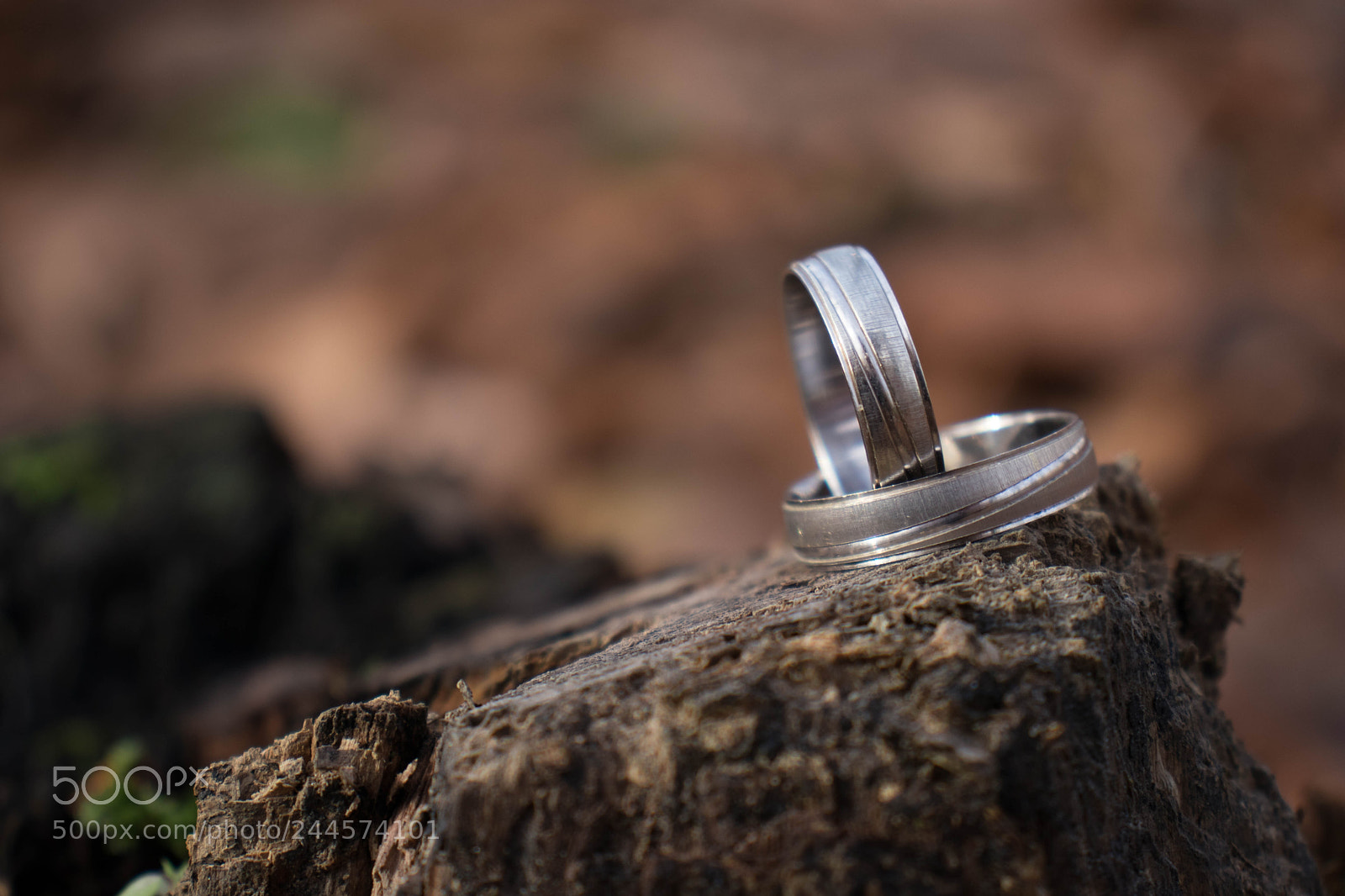 Canon EOS 77D (EOS 9000D / EOS 770D) sample photo. Rustic rings photography