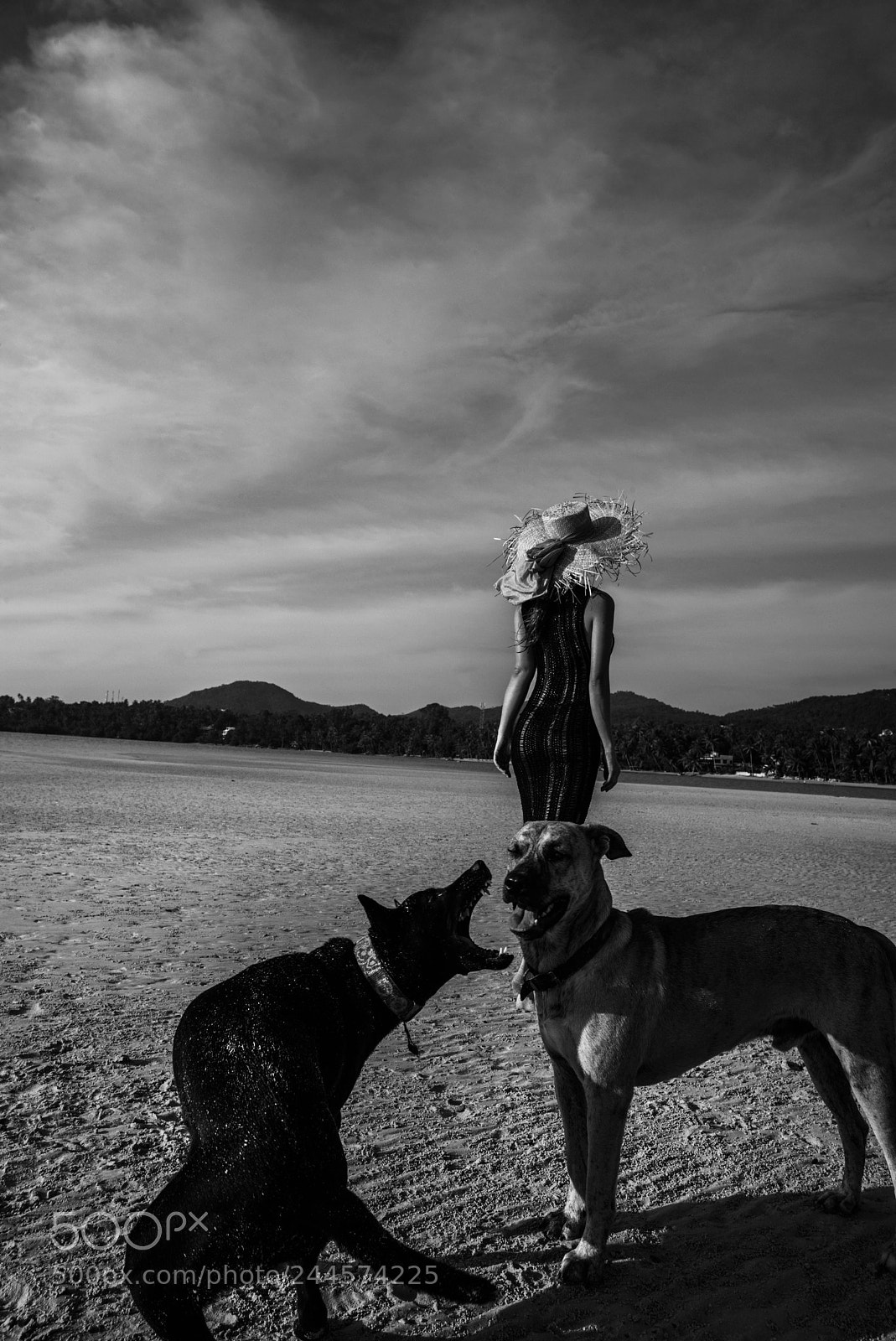 Leica M (Typ 240) sample photo. Alba photography