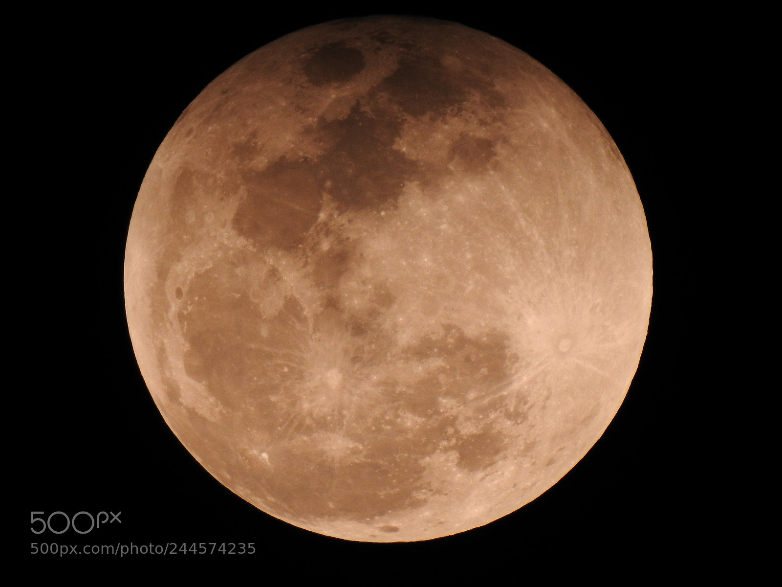 Nikon Coolpix P900 sample photo. Super blue blood moon photography