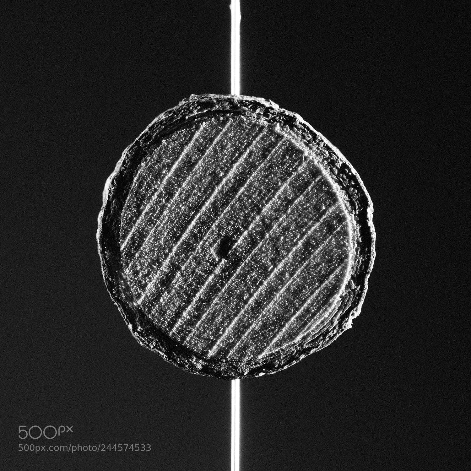 Canon EOS 5DS sample photo. Circles tree photography