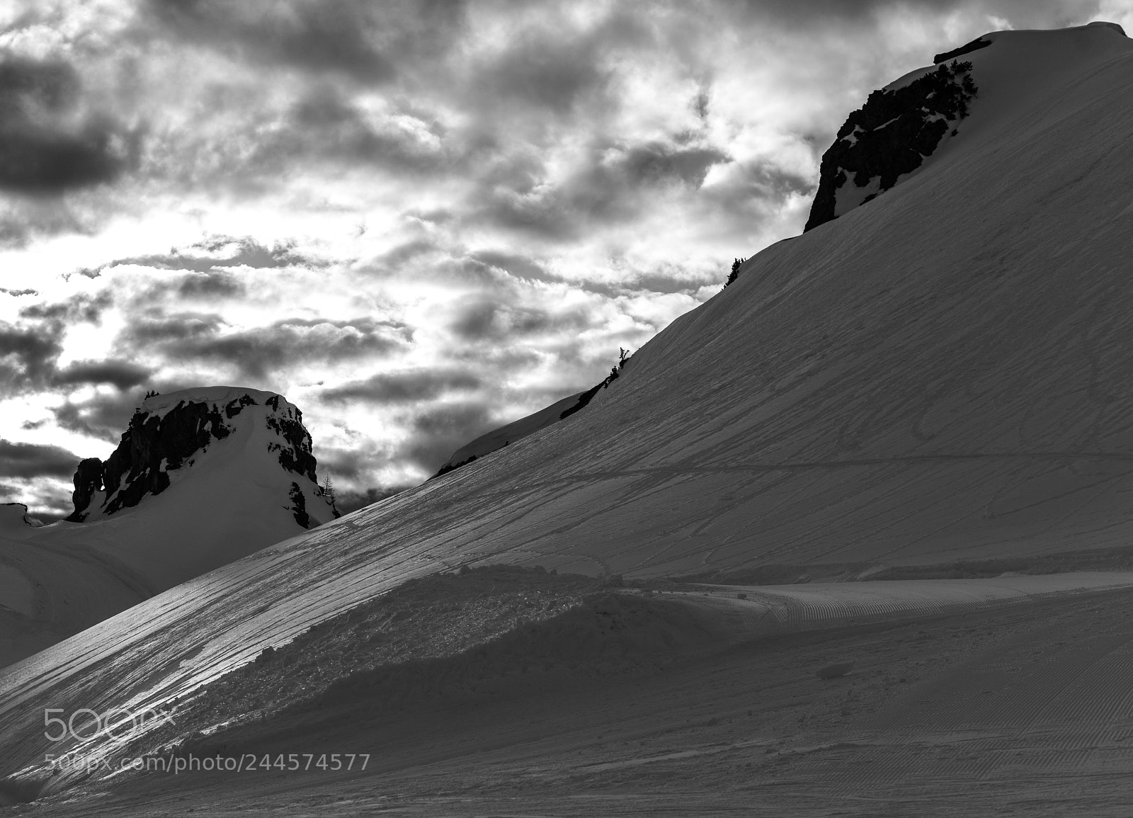 Nikon D850 sample photo. Somewhere up there (bw) photography