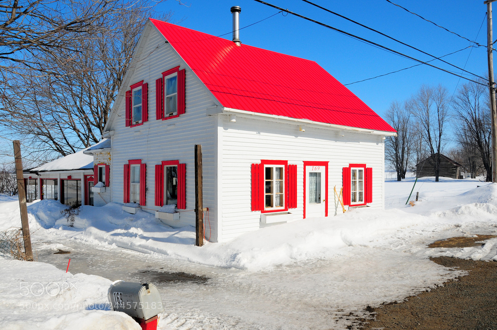 Nikon D300 sample photo. Red over white photography