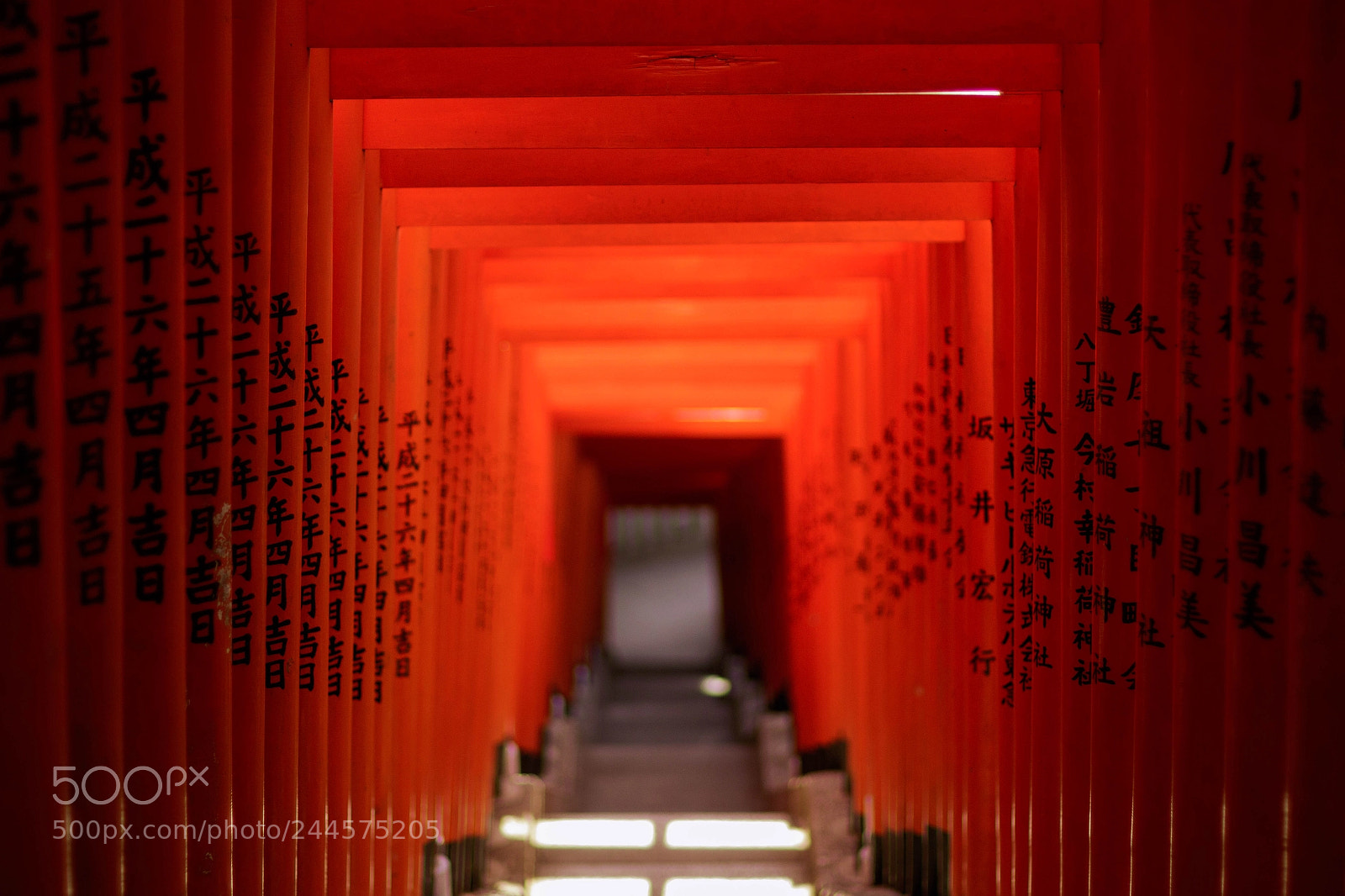 Canon EOS 7D Mark II sample photo. Torii gateway photography