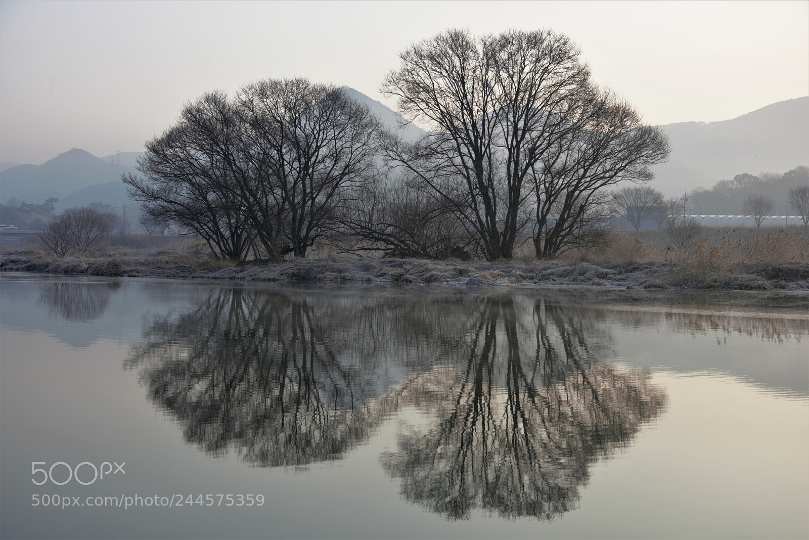 Nikon D810 sample photo. Reflection in winter photography