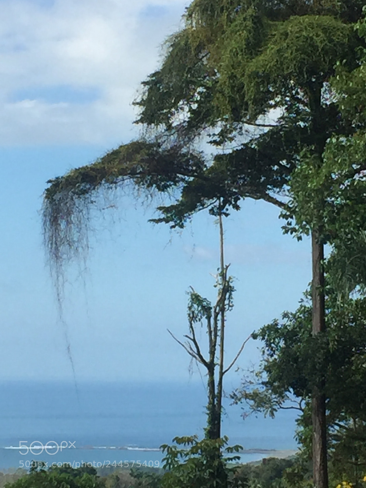 Apple iPhone 6 sample photo. Costa rica - uvita photography