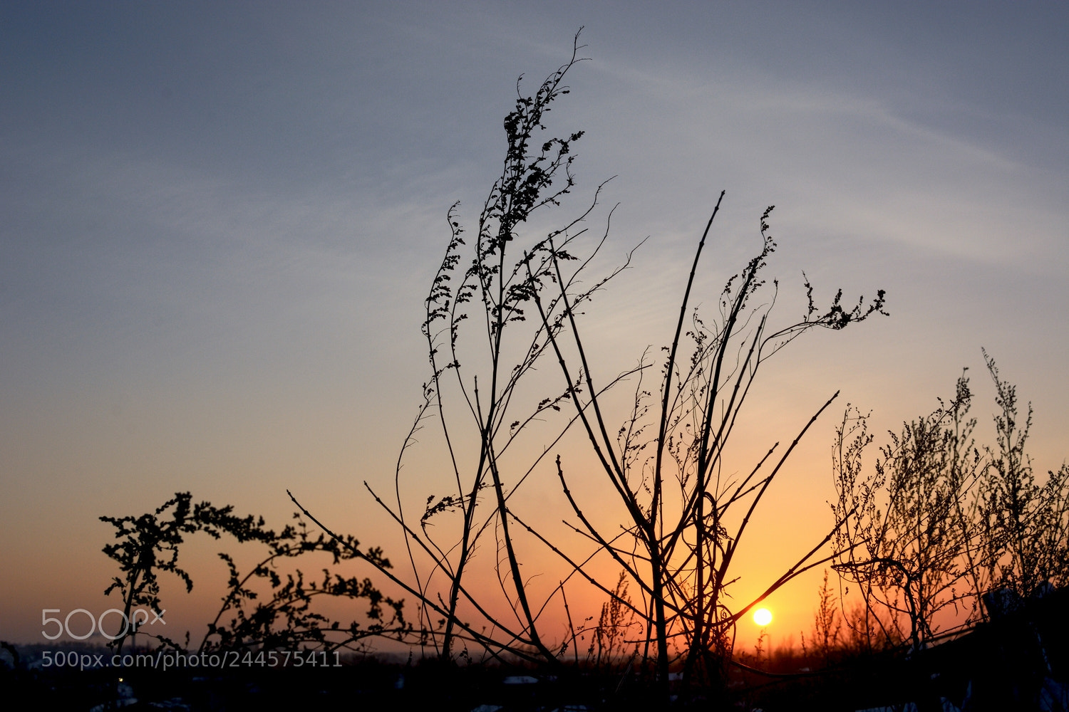 Nikon D7100 sample photo. Закат венчает день морозный... photography