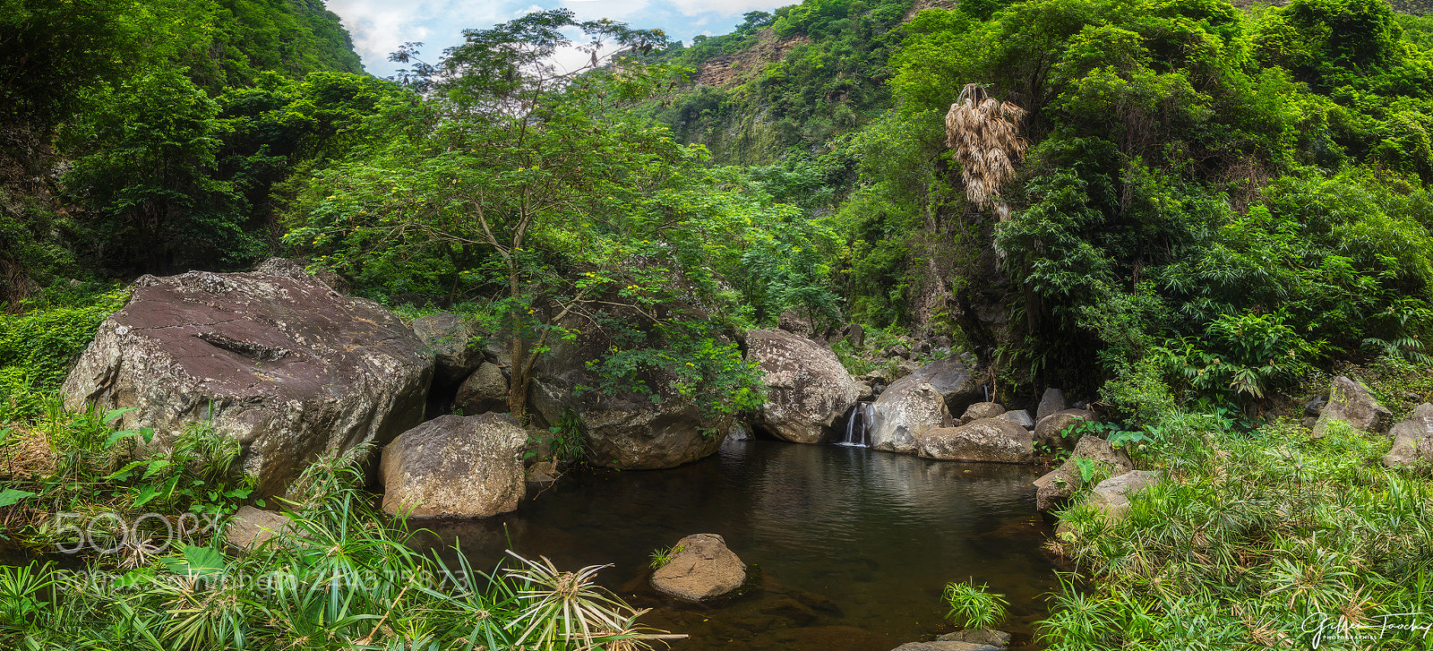 Nikon D7200 sample photo. A green heaven photography
