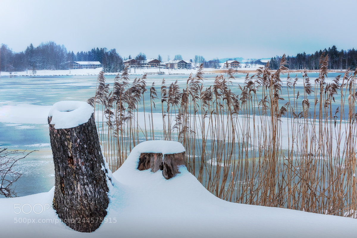 Canon EOS 40D sample photo. When winter is coming photography