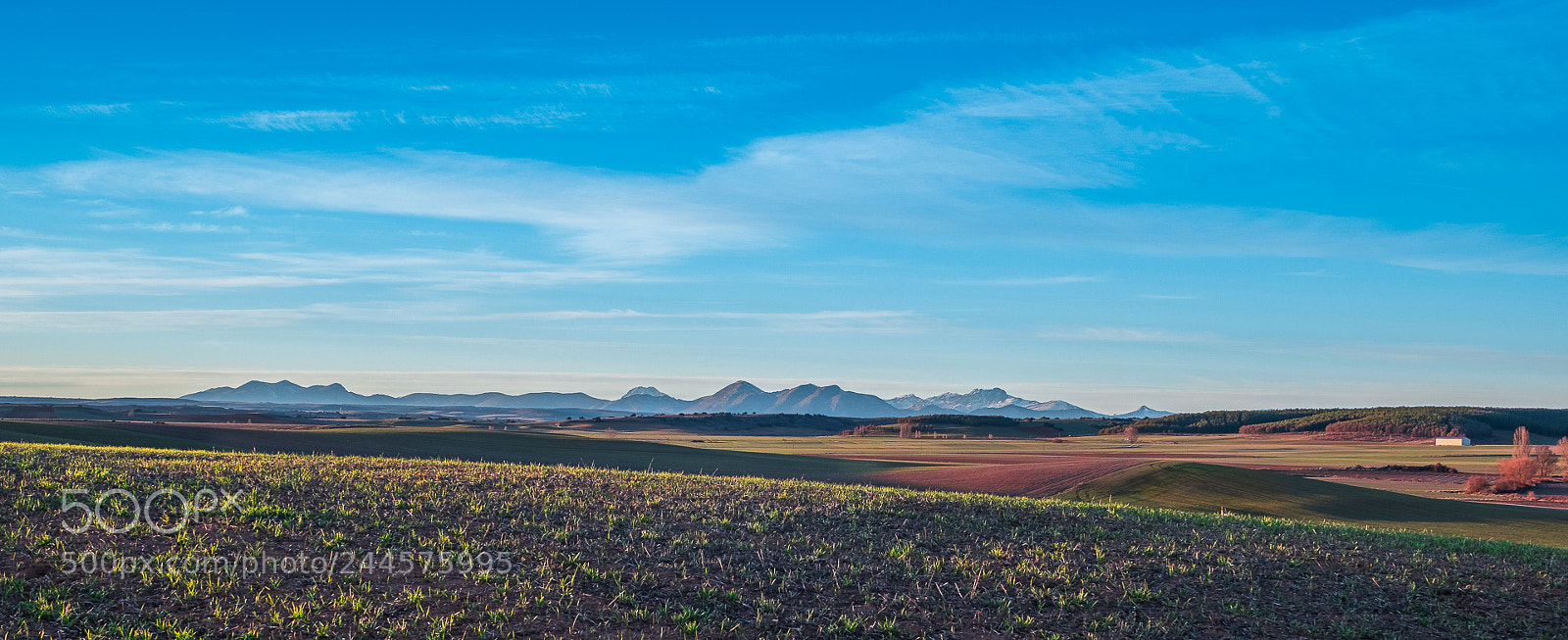 Fujifilm X-T2 sample photo. Tierras de castilla . photography