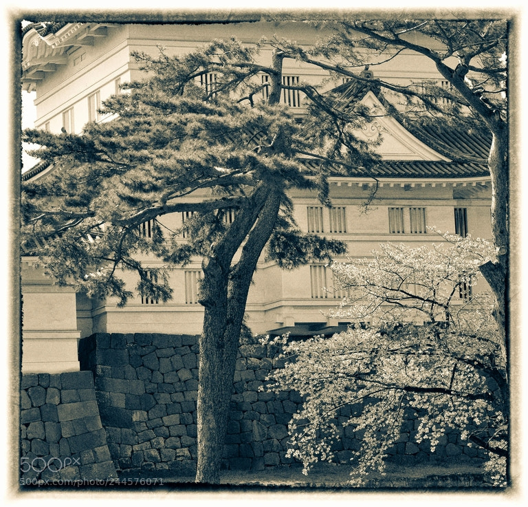 Nikon D3100 sample photo. Odawara photography