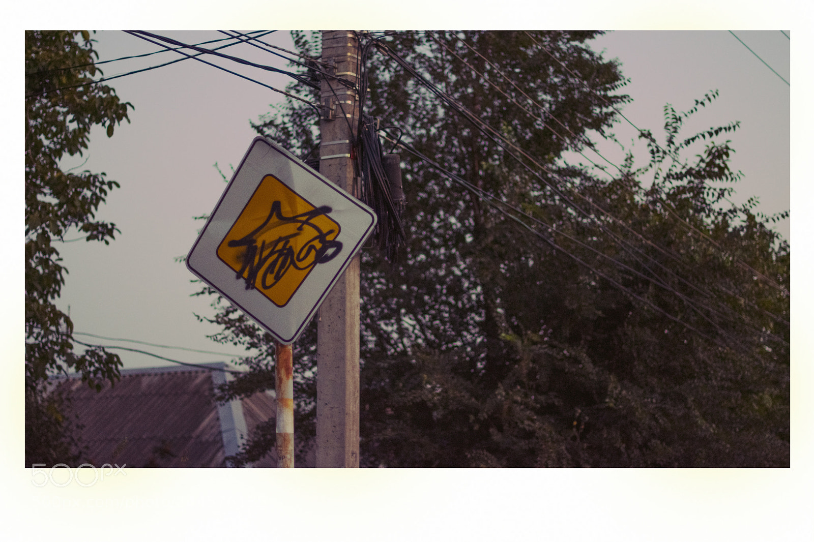 Nikon D3400 sample photo. "reality pt2" photography