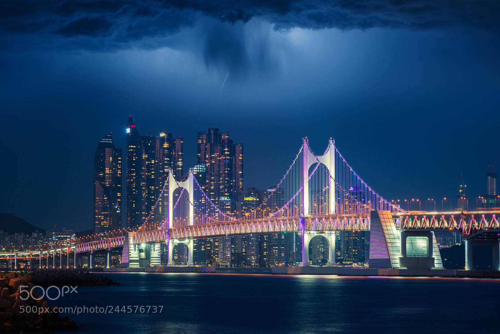 Nikon D800 sample photo. Copy photography