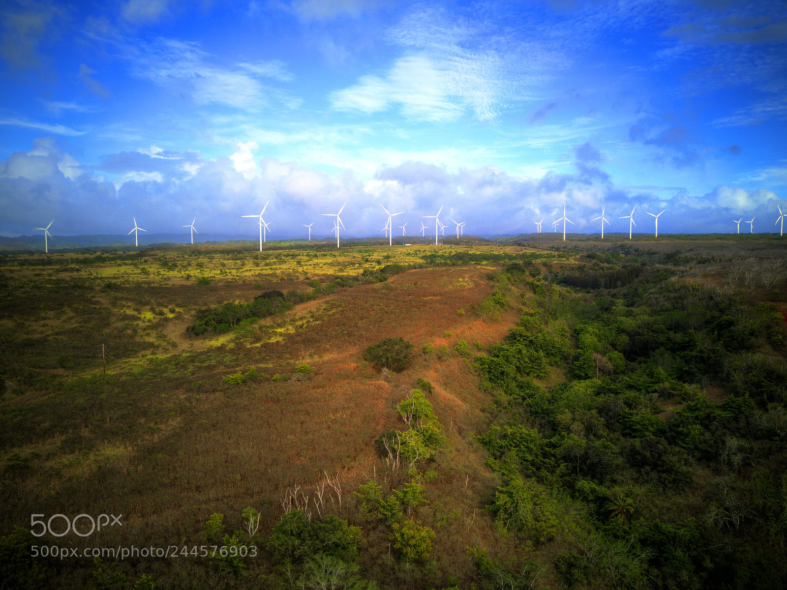 DJI FC220 sample photo. Wind farm photography