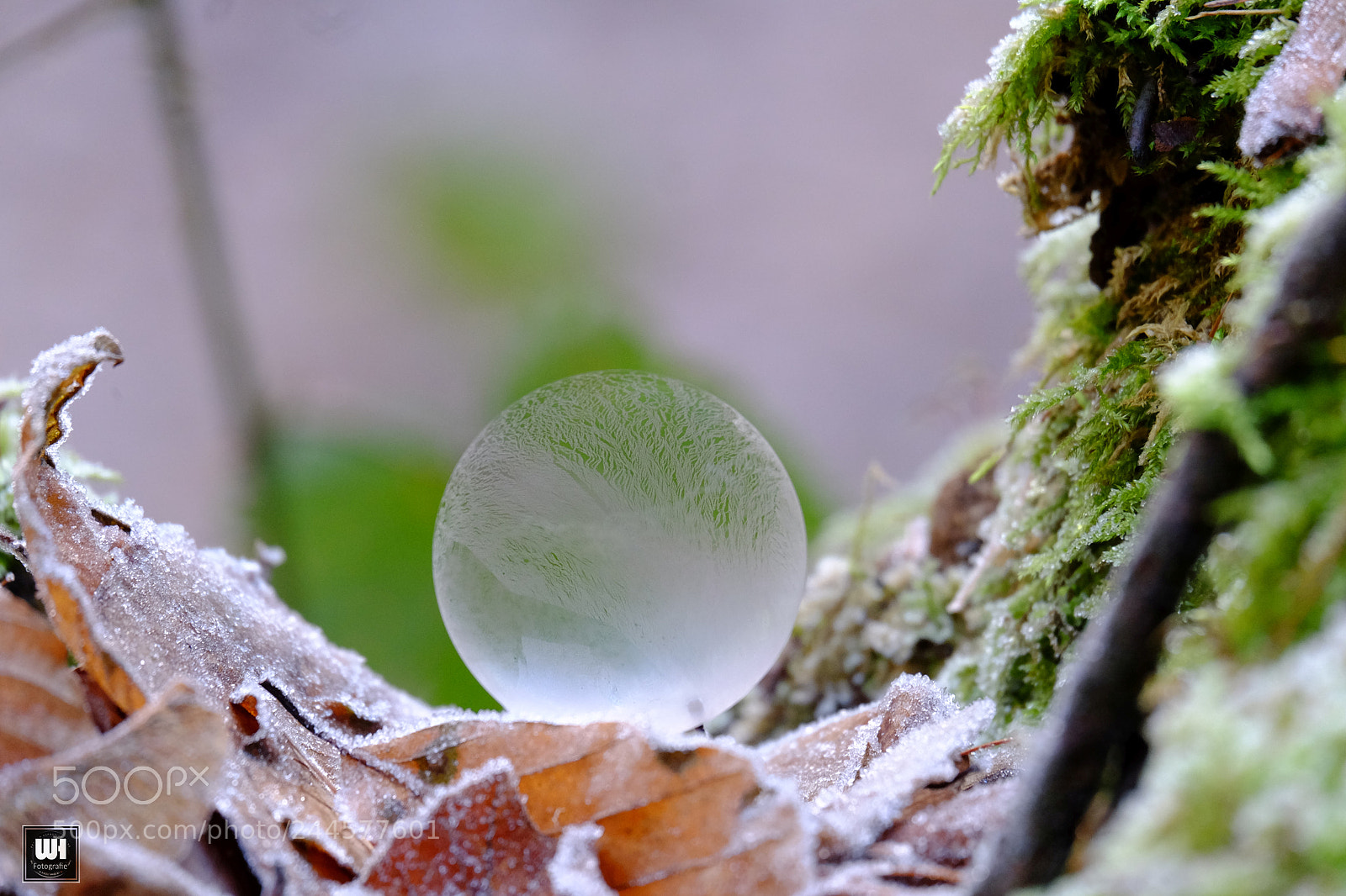 Fujifilm X-T10 sample photo. Frozen bubble - 2017 photography