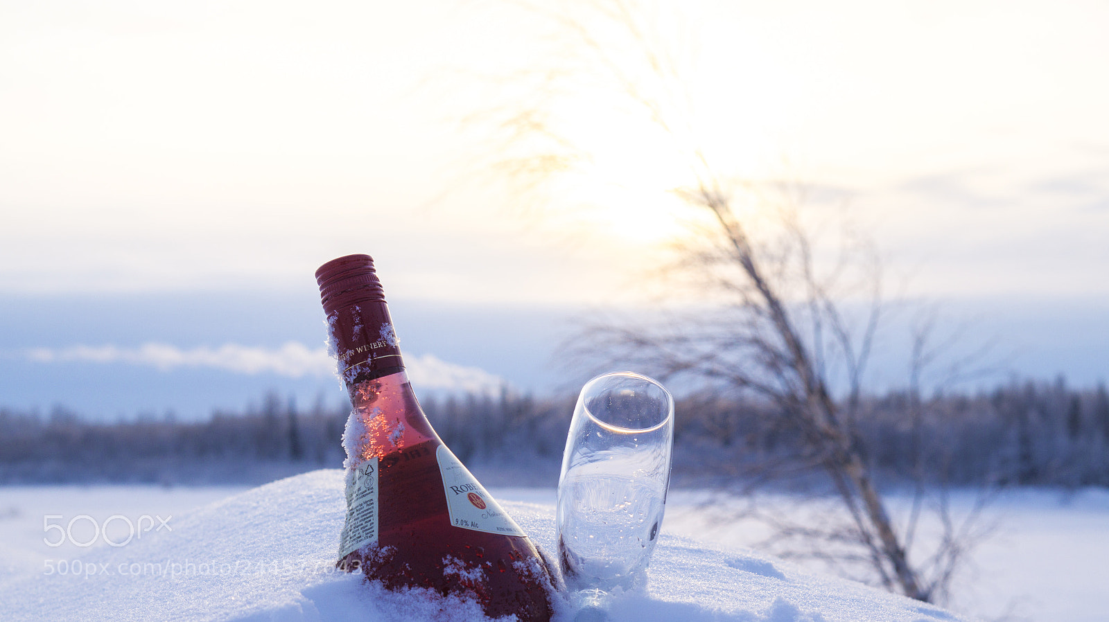 Sony Alpha a5000 (ILCE 5000) sample photo. Winter should be spent photography