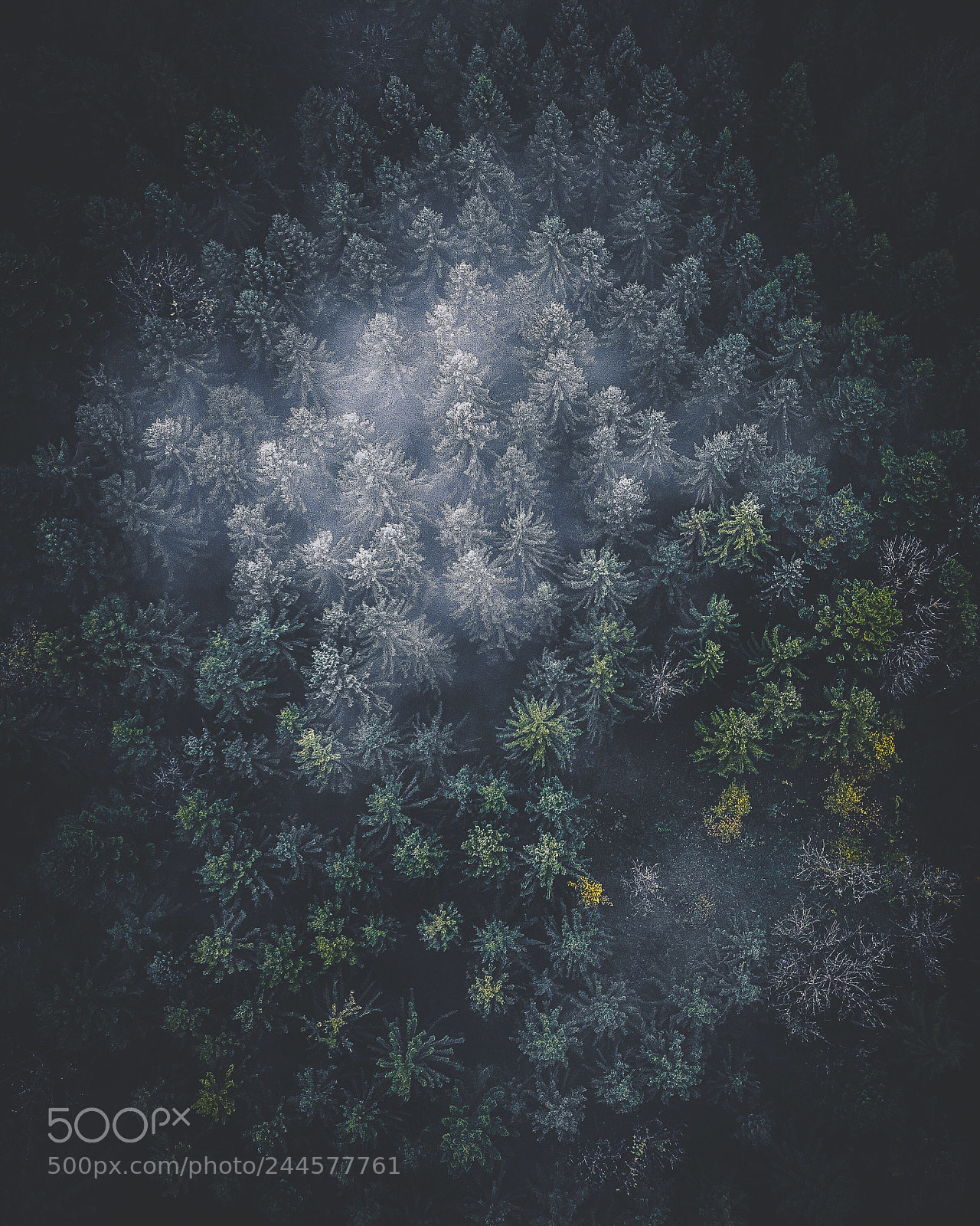 DJI FC220 sample photo. I hope you like photography