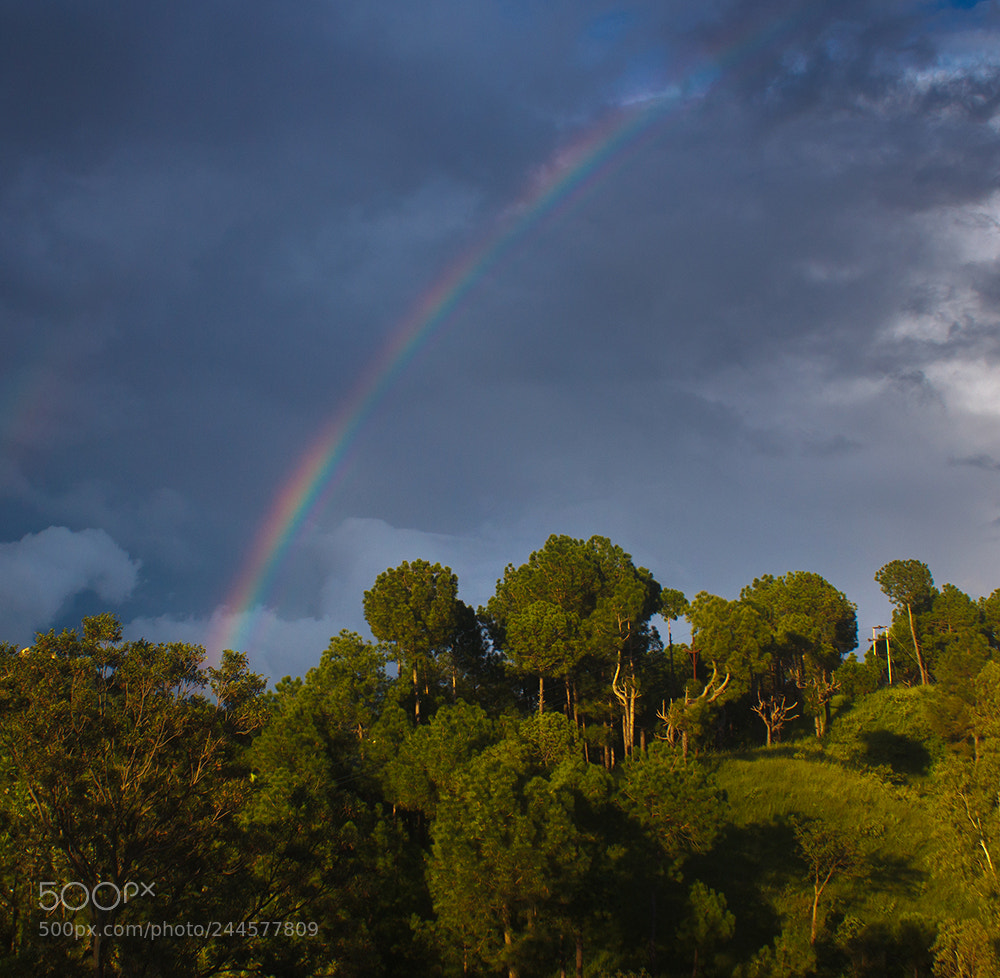 Canon EOS 550D (EOS Rebel T2i / EOS Kiss X4) sample photo. A beautiful rainbow near photography