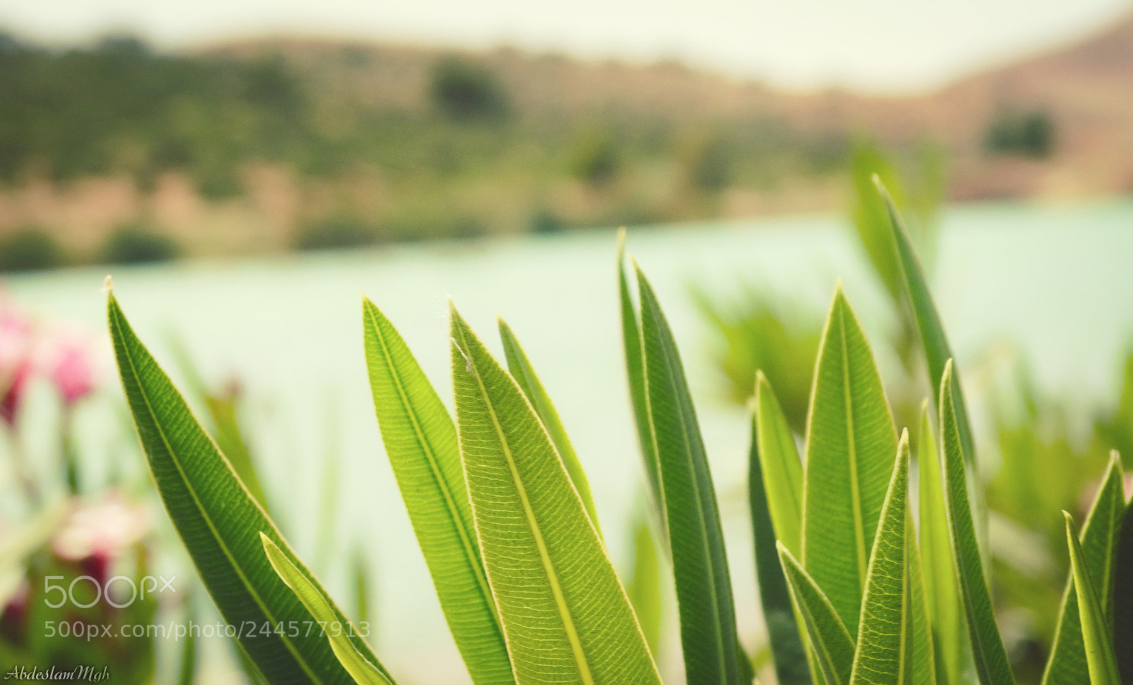 Sony Cyber-shot DSC-HX300 sample photo. Lake photography