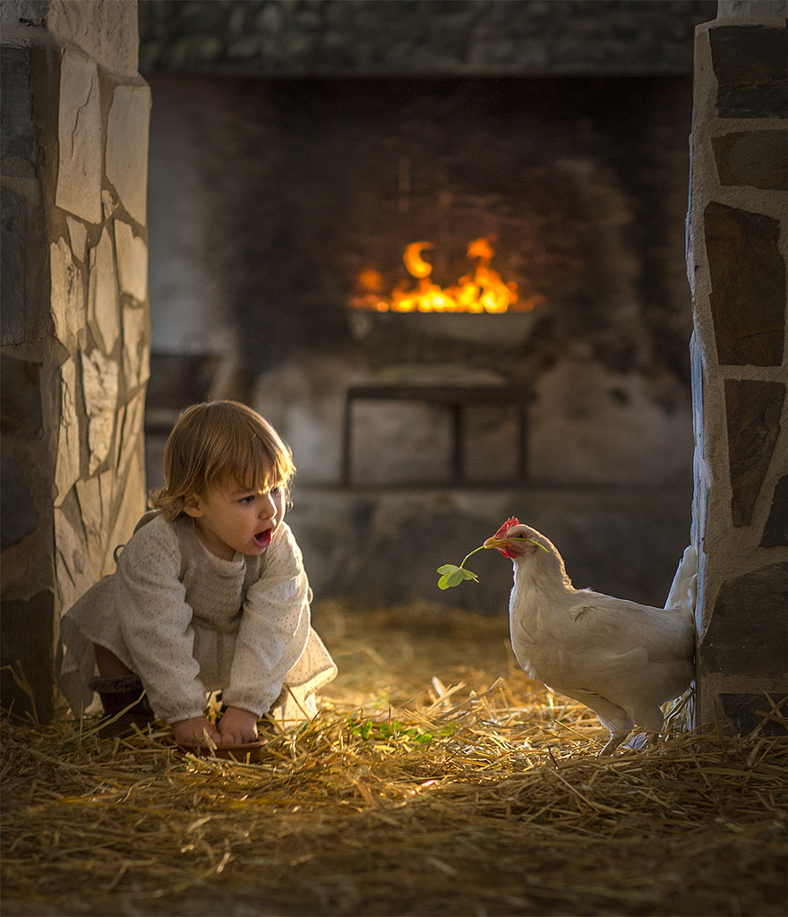 Once on Andalusian Farm.. by Elena Shumilova on 500px.com