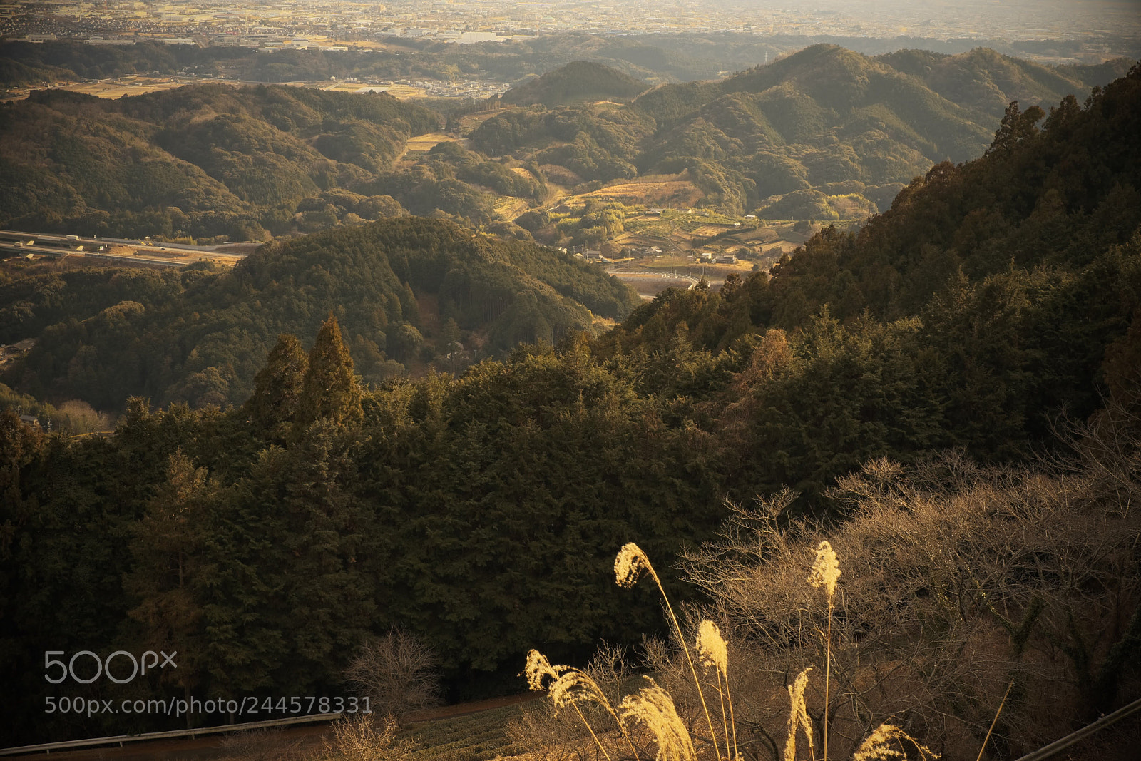 Fujifilm X-Pro2 sample photo. Japanese mountainin shizuoka photography