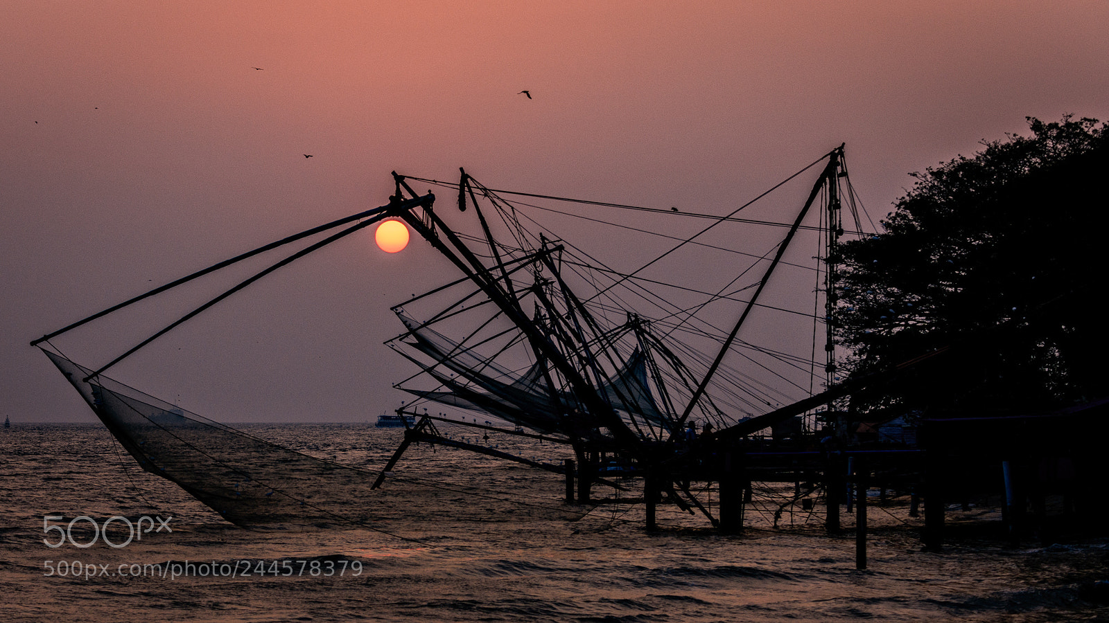 Nikon D850 sample photo. Sunset through the fishing photography