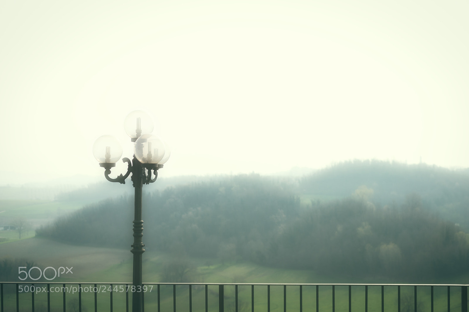 Nikon D3200 sample photo. Foggy day photography