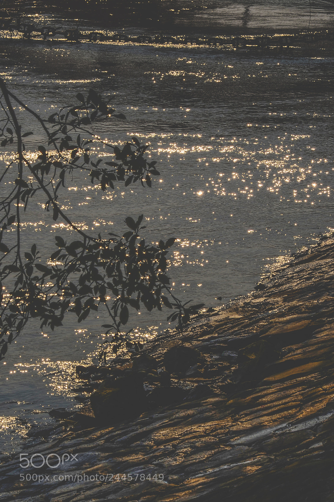 Nikon D5100 sample photo. Under the sunshine photography