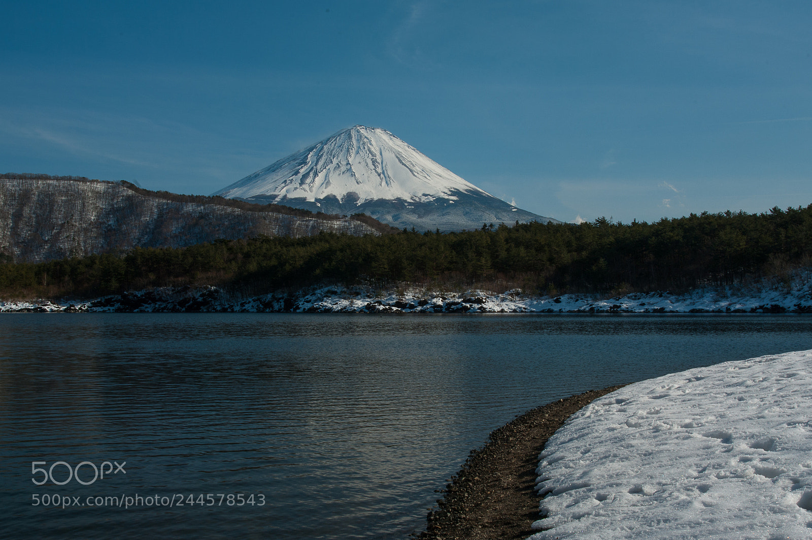 Pentax K20D sample photo. Untitled photography