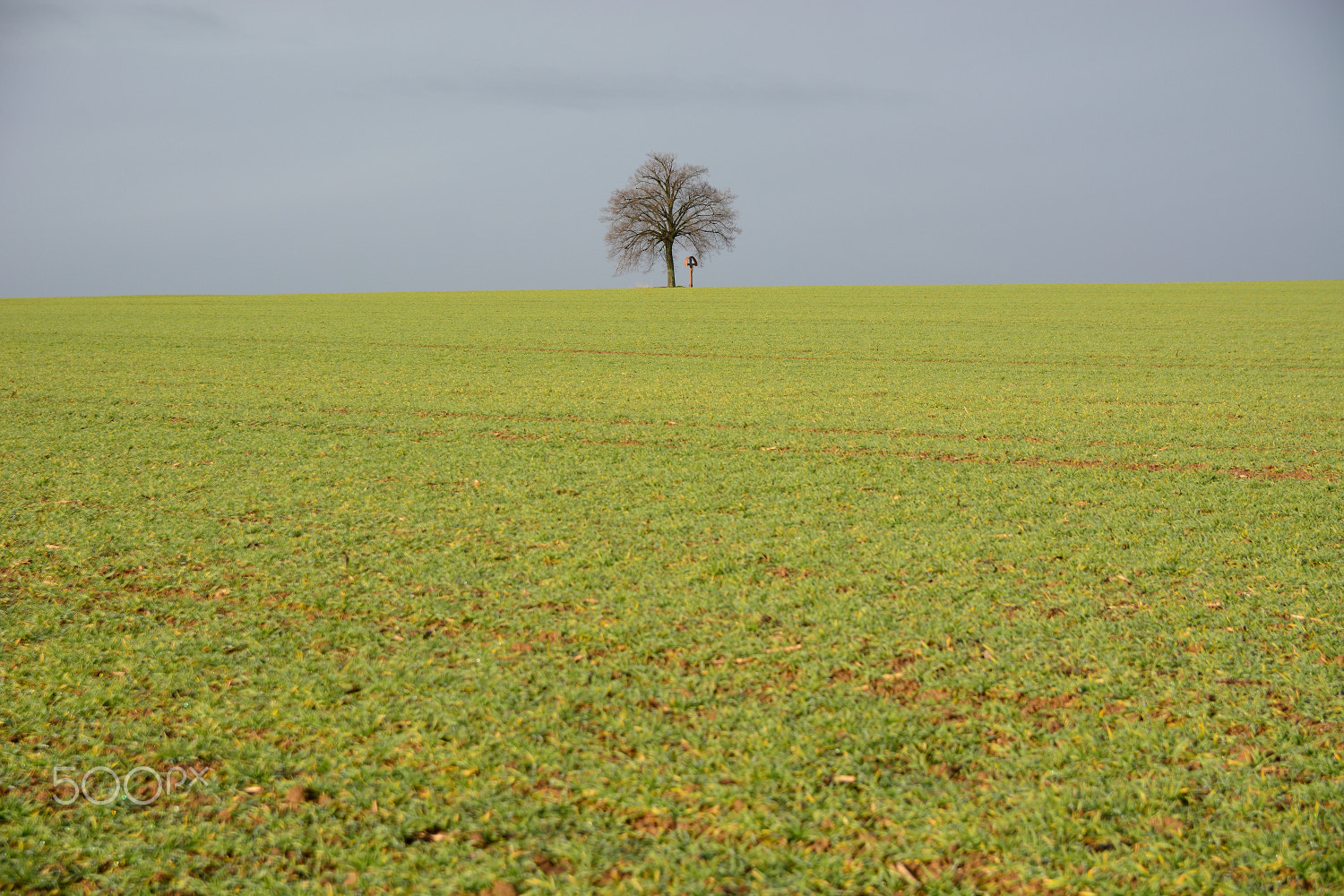 Sigma 17-50mm F2.8 EX DC OS HSM sample photo. ... both ... photography