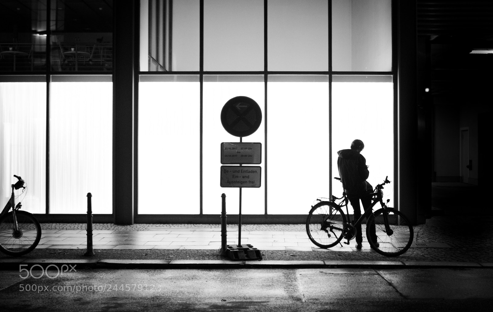 Nikon D610 sample photo. Contre jour photography