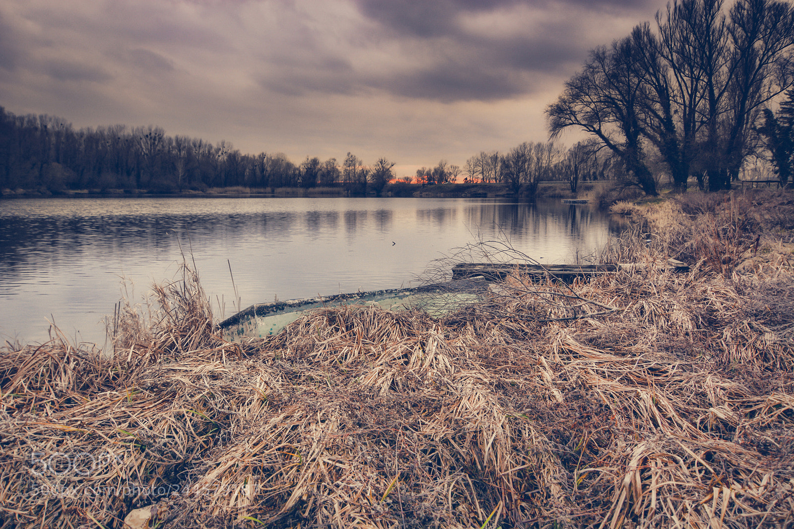 Nikon D7100 sample photo. Winter blues photography