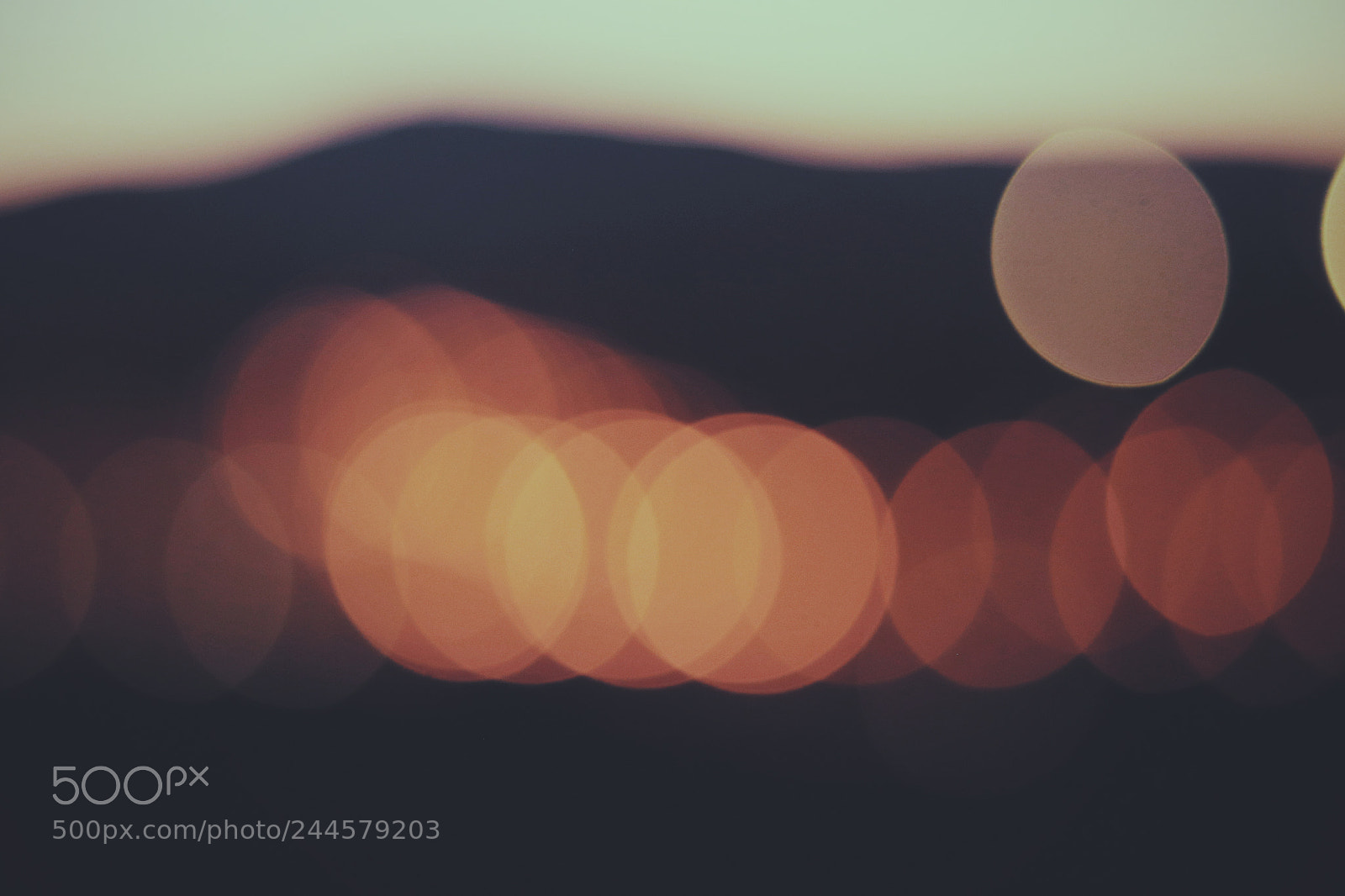 Canon EOS 77D (EOS 9000D / EOS 770D) sample photo. Blur 1.8 photography