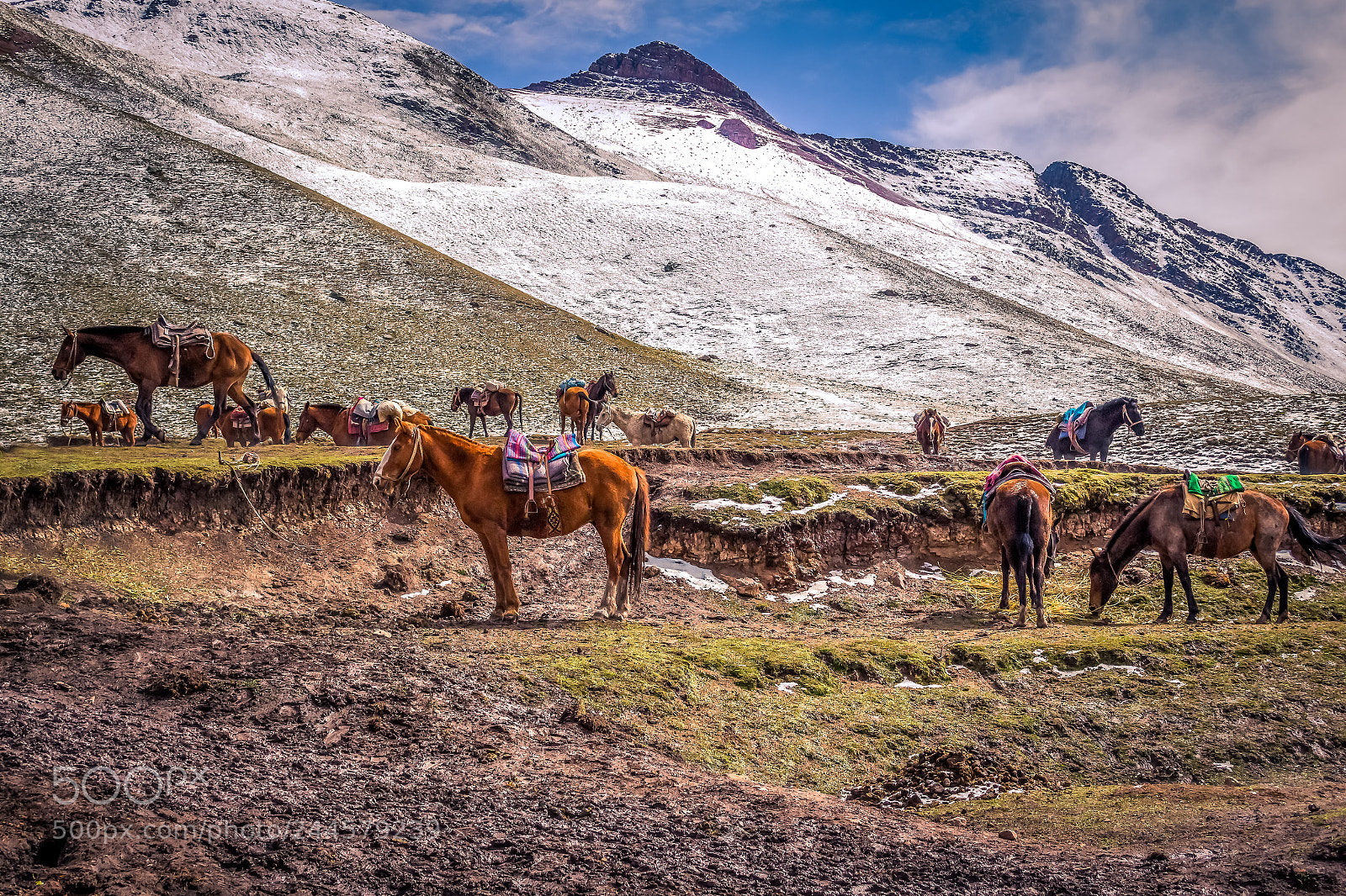 Canon EOS 650D (EOS Rebel T4i / EOS Kiss X6i) sample photo. Horseback riding in nature photography