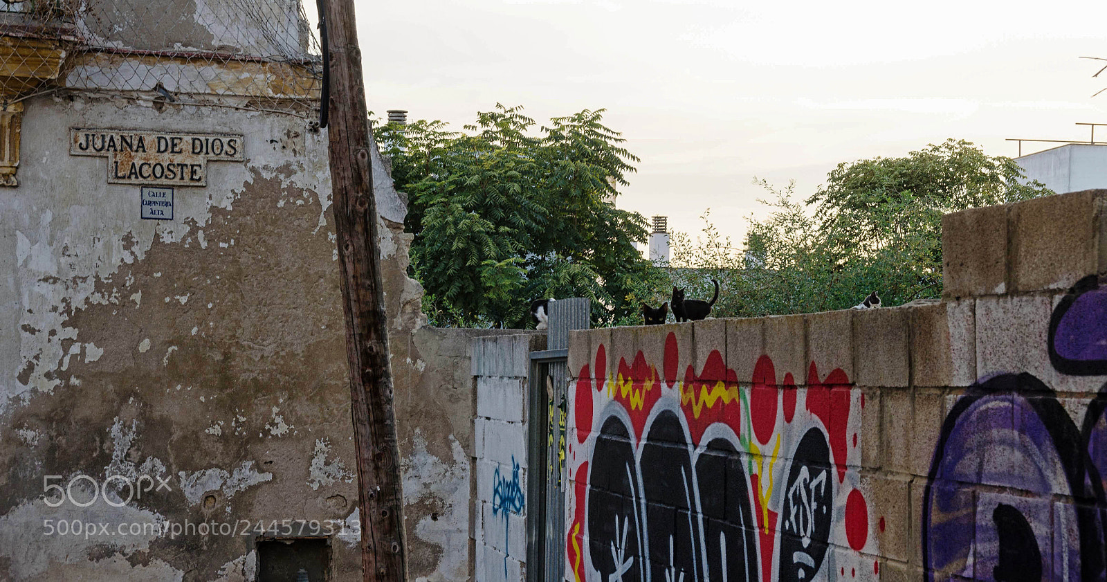 Nikon D5100 sample photo. Jerez (andalucia) photography