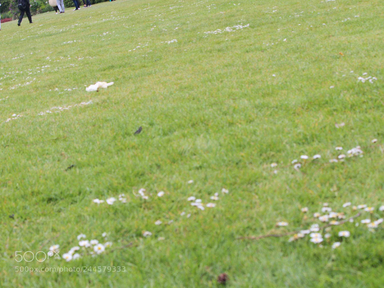 Canon EOS 650D (EOS Rebel T4i / EOS Kiss X6i) sample photo. Img photography