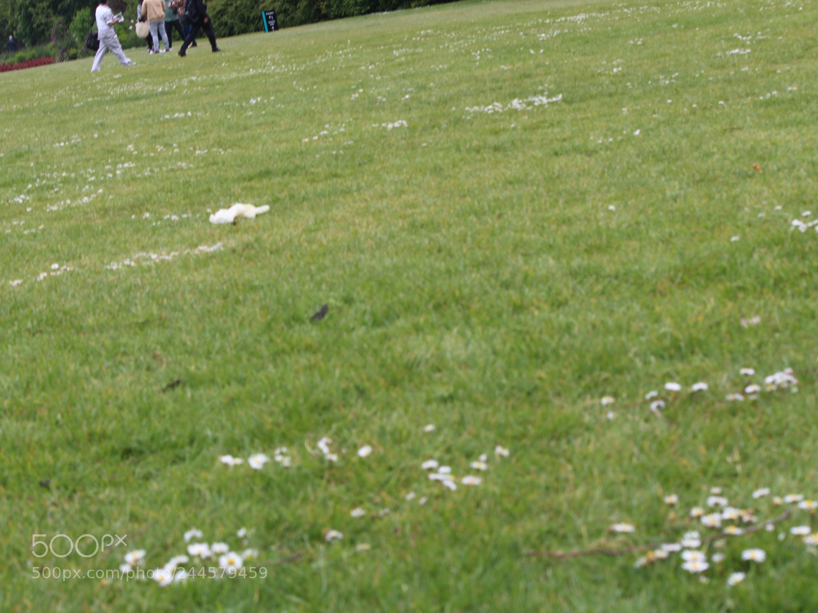 Canon EOS 650D (EOS Rebel T4i / EOS Kiss X6i) sample photo. Img photography